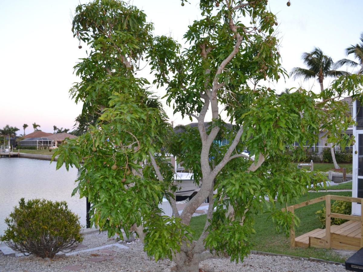Villa جزيرة ماركو المظهر الخارجي الصورة